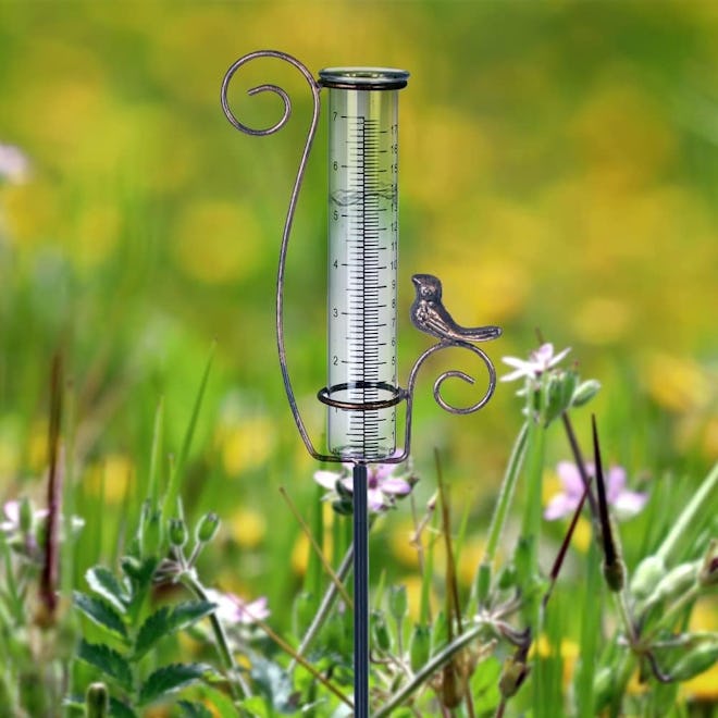 Hobyluby Rain Gauge