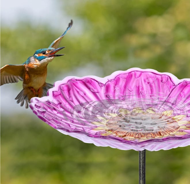 MUMTOP Glass Bird Bath