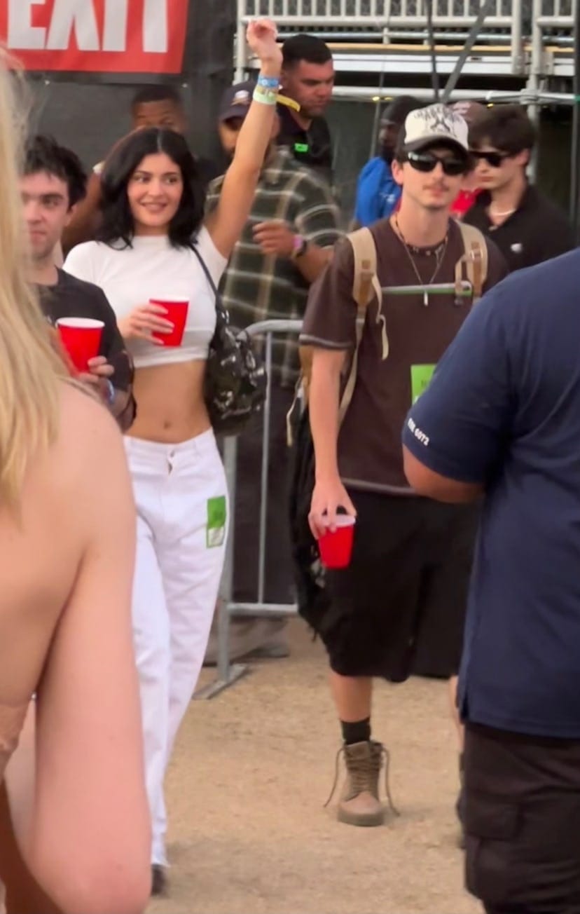 The Celebrities At Coachella 2025 Set A High Bar For Festival Season