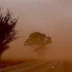 Farmers say only a ‘good, wet winter’ will break drought conditions across SA