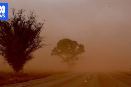 Farmers say only a ‘good, wet winter’ will break drought conditions across SA