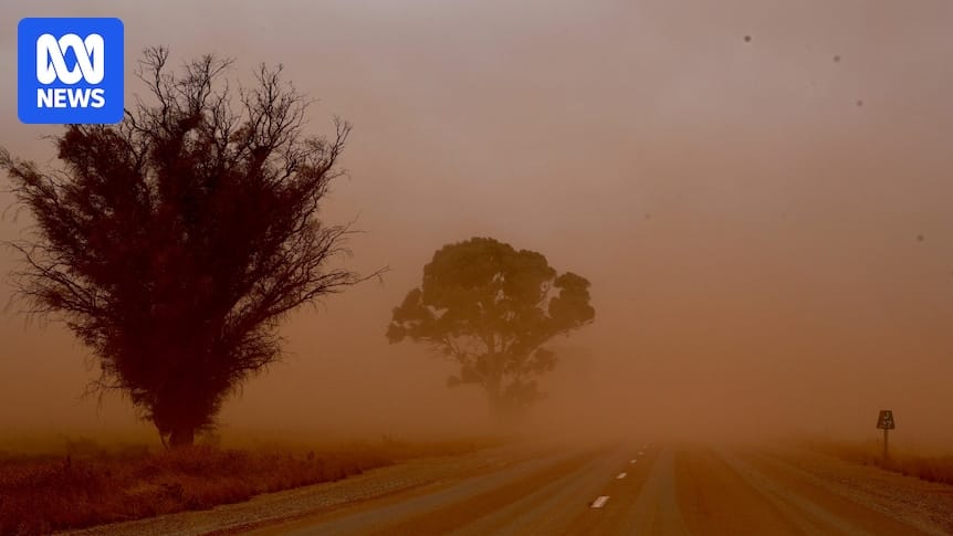 Farmers say only a ‘good, wet winter’ will break drought conditions across SA