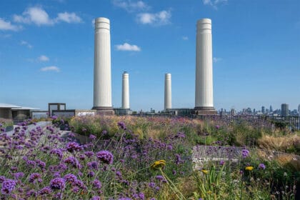 How To Get Exclusive Access To Battersea Roof Gardens