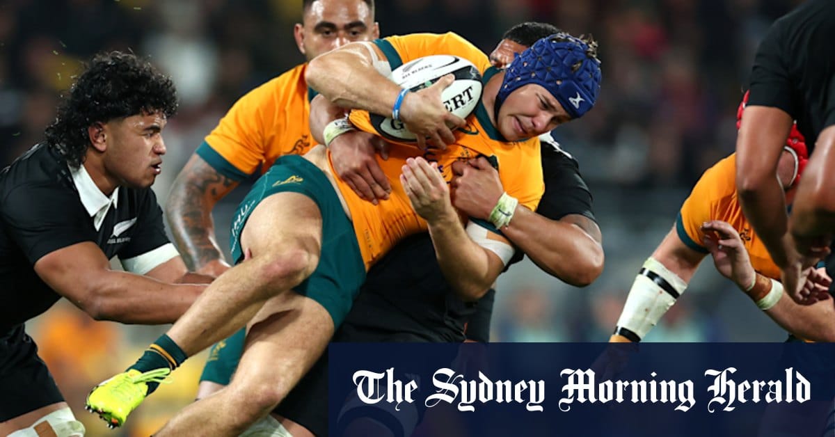 Queensland Reds centre Josh Flook confirms his future before British and Irish Lions tour