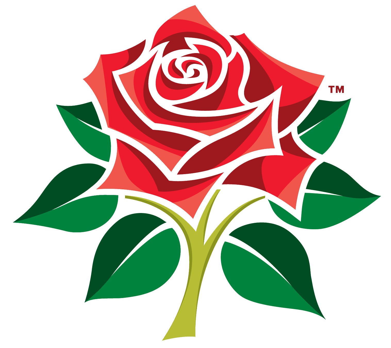 SECOND XI T20 LATEST v Leicestershire