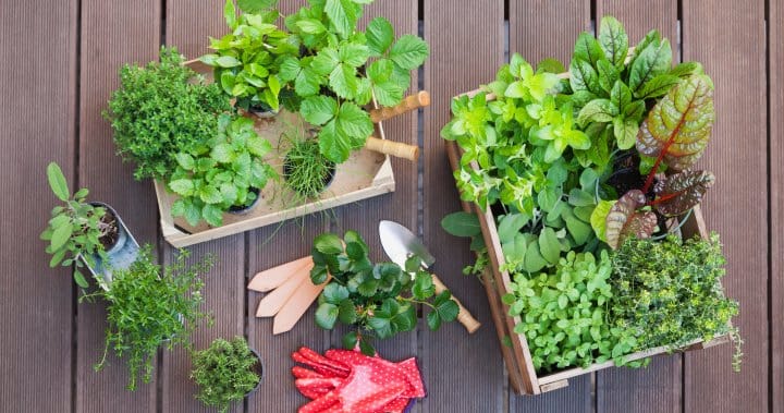 Stormy afternoon leading to overnight frost — welcome to spring in Alberta