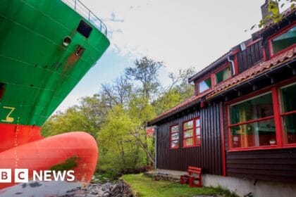 Watch officer of ship that crashed into garden fell asleep, police say