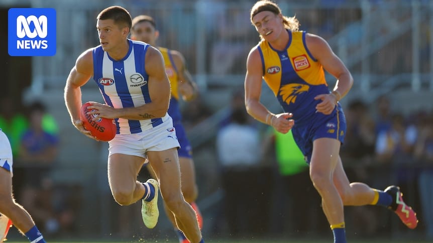 AFL round 13 live: North Melbourne vs West Coast, Carlton vs Essendon updates, scores and highlights