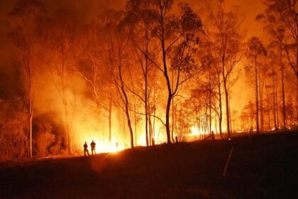 Les incendies de forêt en Espagne ont connu une diminution notable jusqu’à présent cette année avec une décennie