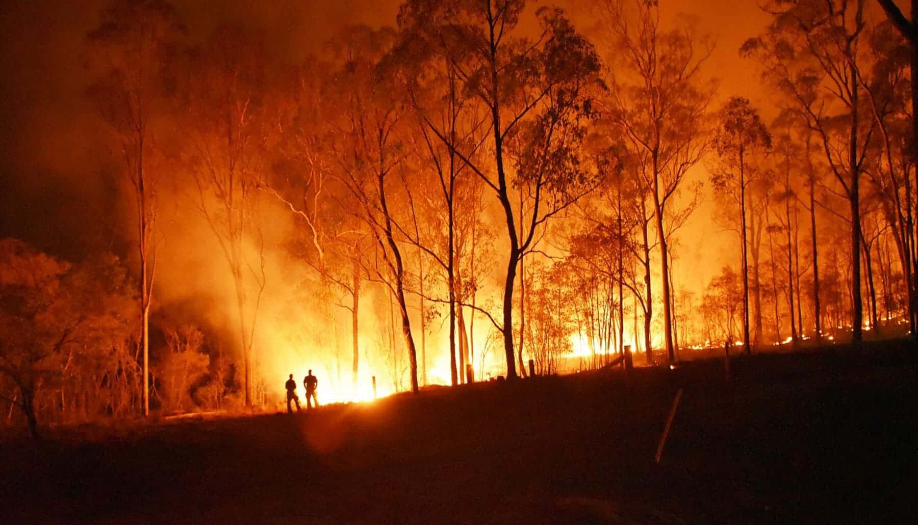 Les incendies de forêt en Espagne ont connu une diminution notable jusqu’à présent cette année avec une décennie