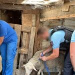 face aux abattages clandestins, la traque des bouchers de l’ombre