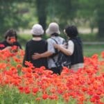 [오늘의 날씨]전북(3일, 화)…오전 곳에 따라 비, 오후부터 맑아져 : 네이트 뉴스