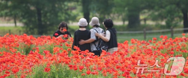 [오늘의 날씨]전북(3일, 화)…오전 곳에 따라 비, 오후부터 맑아져 : 네이트 뉴스