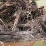 Texas flood rescue teams continue to search for scores of missing people as death toll climbs