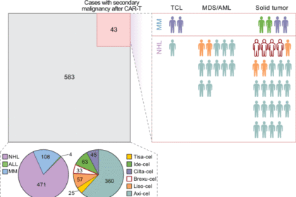 A clonally expanded nodal T-cell population diagnosed as T-cell lymphoma after CAR-T therapy