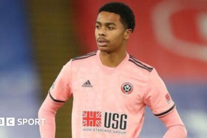 AFC Wimbledon: Dons make triple signing
