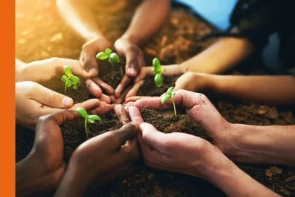 Are Woolworths Group Ltd (ASX:WOW) shares good value in 2025?