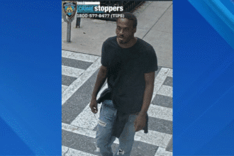 Assailant punched 94-year-old man in Manhattan, police say