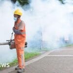 Chikungunya virus: China reports 7,000 cases
