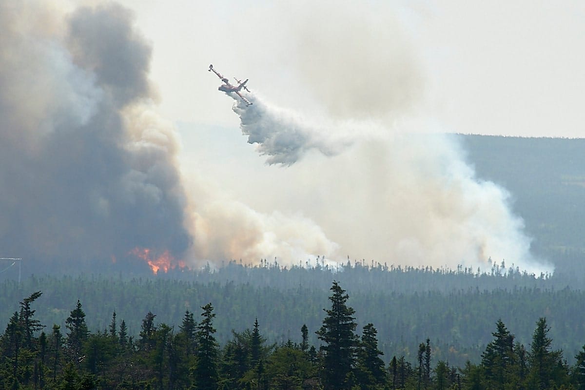 Evacuation alert issued for 20,000 Newfoundlanders after wildfire erupts south of St. John’s