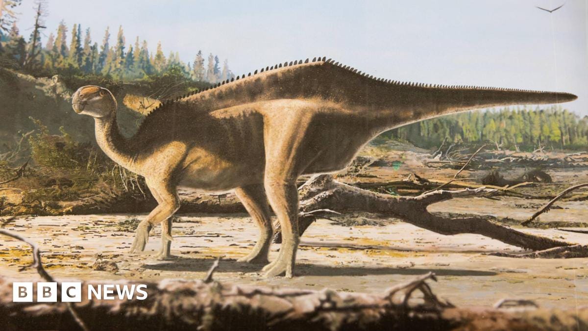 New ‘sail-backed’ dinosaur named after Dame Ellen MacArthur