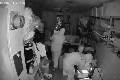Thousands of dollars’ worth of Labubus stolen as toy’s popularity continues to soar