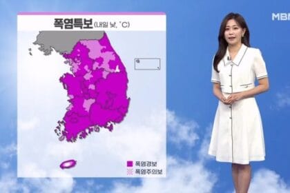 [날씨] 절기 ‘처서’에도 폭염 계속…곳곳 소나기 : 네이트 뉴스