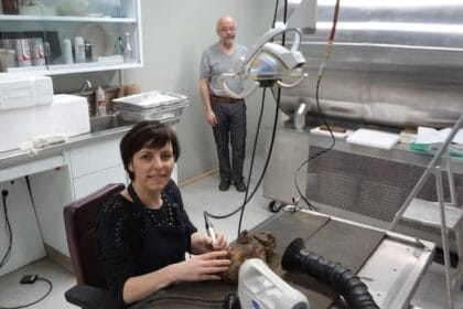 Quebec couple killed in Lisbon funicular crash remembered for archaeological legacy