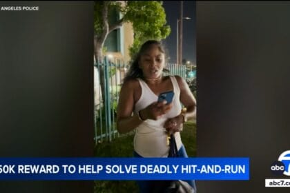 Woman wanted in fatal hit-and-run in South LA was driving almost 100 mph; K reward offered