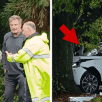 Alec and Stephen Baldwin Plow Their Range Rover into a Tree, and Survive