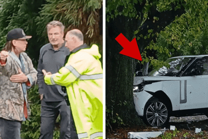 Alec and Stephen Baldwin Plow Their Range Rover into a Tree, and Survive