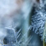 ‘Brutal’ cold snap? ‘Barrage of snow’? Met Office weather headline review