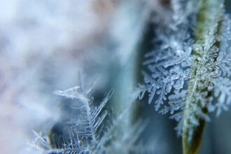‘Brutal’ cold snap? ‘Barrage of snow’? Met Office weather headline review