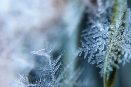 ‘Brutal’ cold snap? ‘Barrage of snow’? Met Office weather headline review