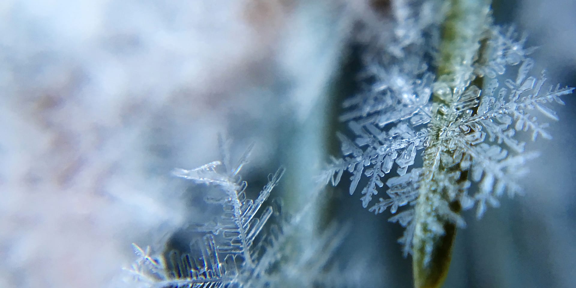 ‘Brutal’ cold snap? ‘Barrage of snow’? Met Office weather headline review