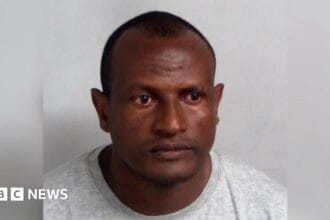 Lammy says human error led to migrant sex offender release as Tories call it ‘national embarrassment’
