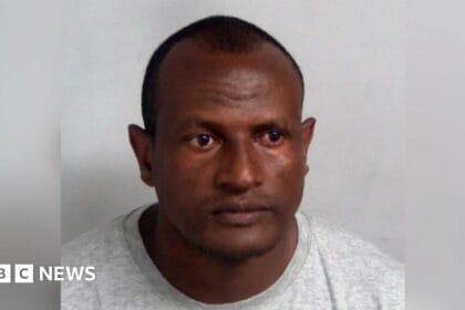 Lammy says human error led to migrant sex offender release as Tories call it ‘national embarrassment’