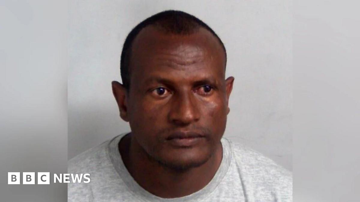 Lammy says human error led to migrant sex offender release as Tories call it ‘national embarrassment’