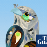 Tawny frogmouth named 2025 Australian bird of the year winner | Australian bird of the year 2025