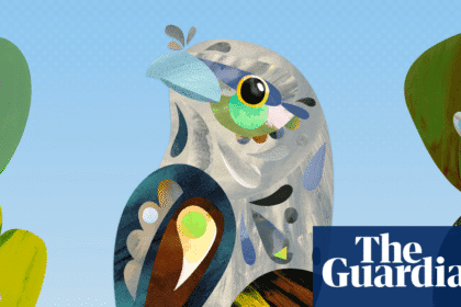 Tawny frogmouth named 2025 Australian bird of the year winner | Australian bird of the year 2025