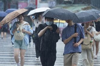 東北季風連2波影響　未來一週迎風面濕涼、北台灣低溫探20度 | 生活 | 中央社 CNA