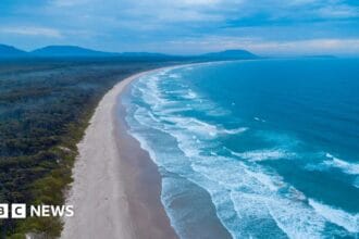 Australia shark attack: Woman killed and man injured in New South Wales