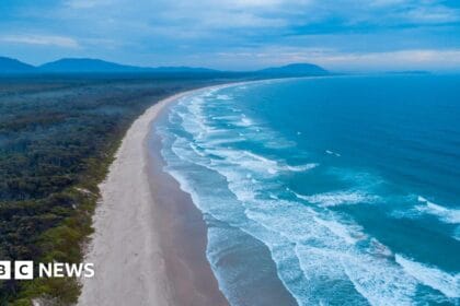 Australia shark attack: Woman killed and man injured in New South Wales