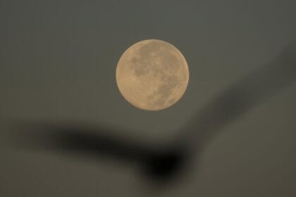 How to spot November’s supermoon, the closest of the year