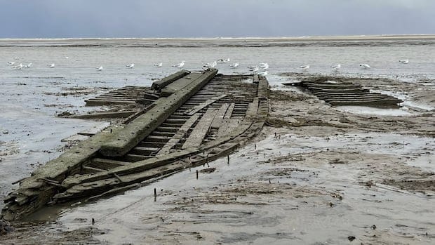 Lake Erie shipwreck spotted off Kingsville, Ont., uncovered by strong winds