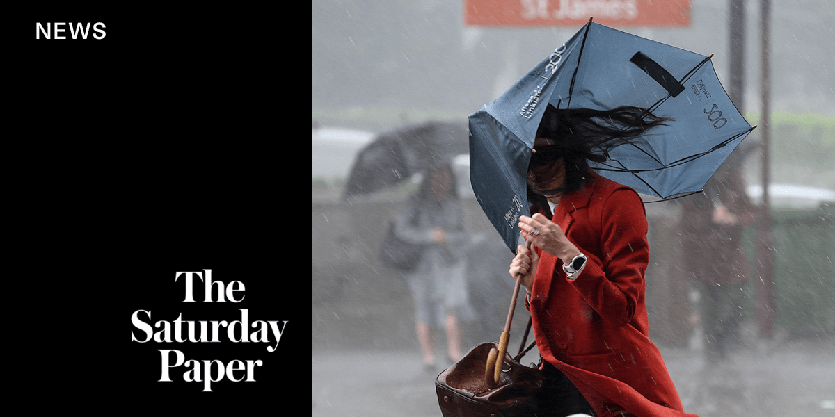 ‘Practically unusable’: Inside the BoM’s website shambles