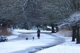 Exact date snow set to hit Liverpool