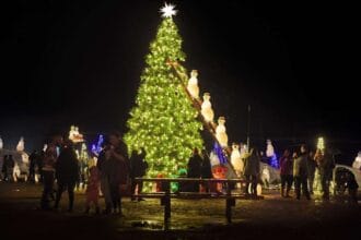 ‘Rockin’ Around the Christmas Tree’