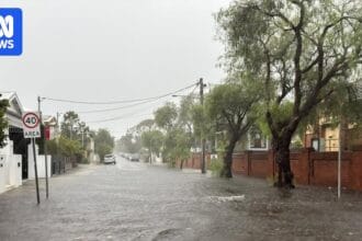 Flash flooding, heavy rainfall and gusty weather keeps SES busy on NSW coast