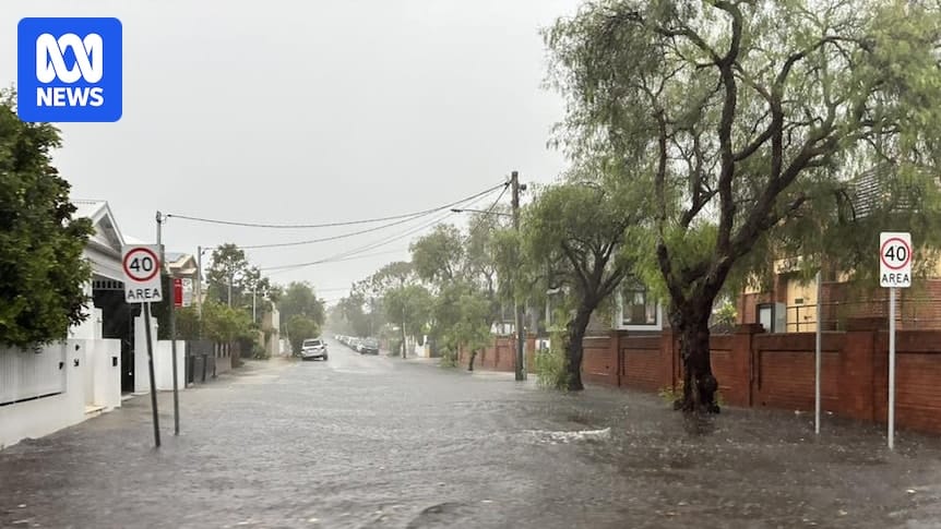 Flash flooding, heavy rainfall and gusty weather keeps SES busy on NSW coast Flash flooding, heavy rainfall and gusty weather keeps SES busy on NSW coast